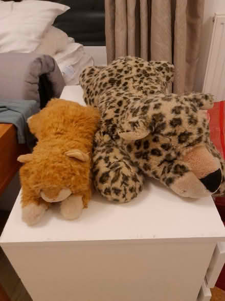 Photo of free Cat and leopard soft toys (Sandylands morecambe LA3) #1