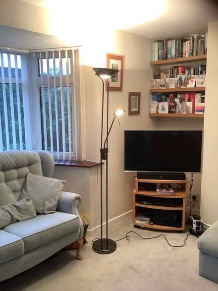 Photo of free ‘Mother & daughter’ lamp (Marshalswick AL4) #1