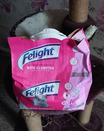 Photo of free Felight cat litter (Bradwell Common MK13) #1