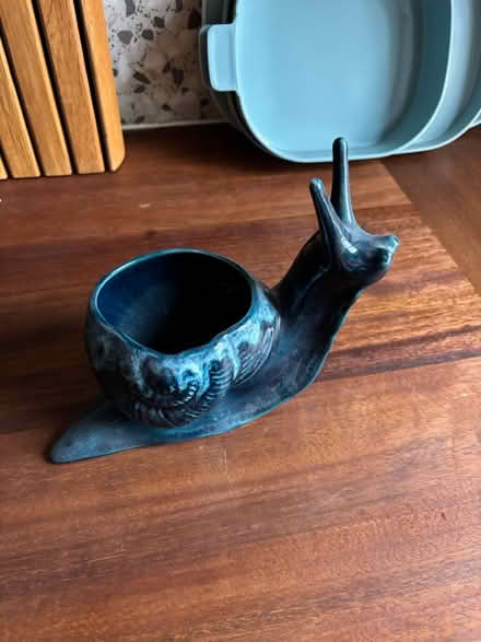 Photo of free Snail planter (SE17) #1