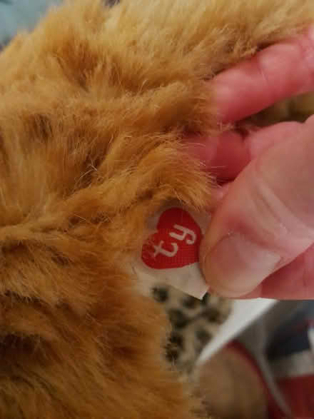 Photo of free Cat and leopard soft toys (Sandylands morecambe LA3) #3