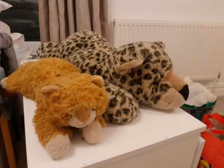 Photo of free Cat and leopard soft toys (Sandylands morecambe LA3) #2