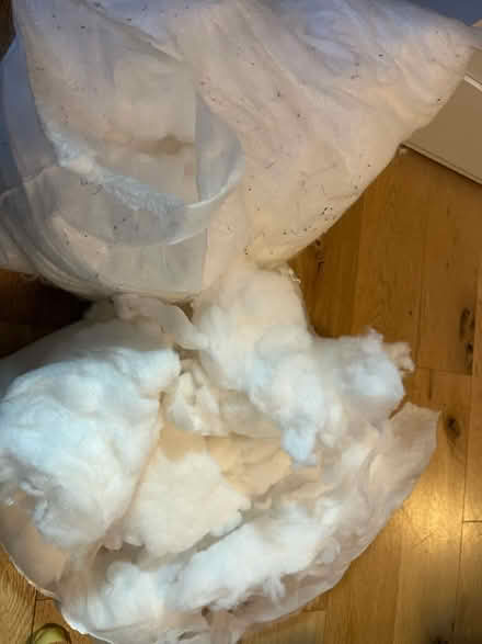 Photo of free 2 bags of stuffing for soft toys (Sydenham SE26) #1