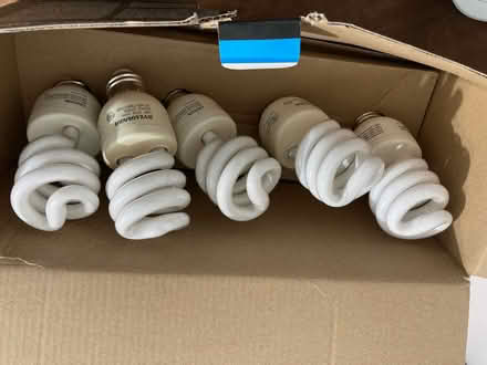 Photo of free Small CFL light bulbs (Fremont-Sundale/28 Palms) #2