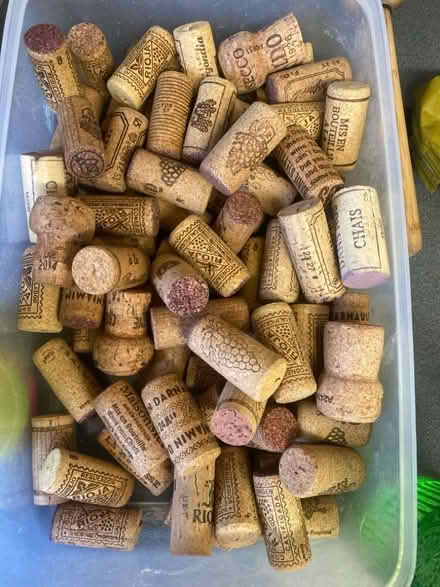 Photo of free Corks (Southsea PO1) #1