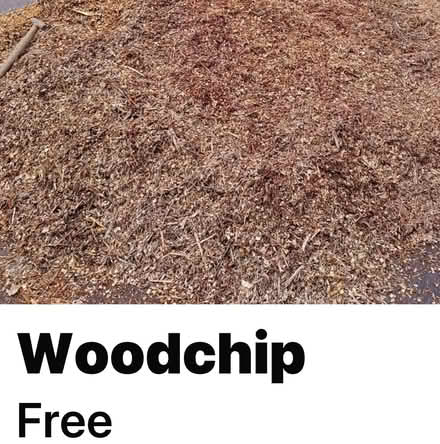 Photo of Woodchip for village allotments (Bridgwater) #1
