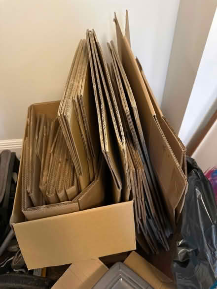 Photo of free Moving boxes / cardboard boxes (Didsbury M20) #1