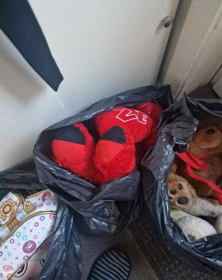 Photo of free Bags of Toys (Broxtowe NG8) #2