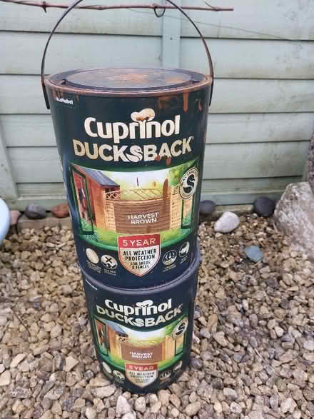 Photo of free Fence paint. (Nailsworth GL6) #1