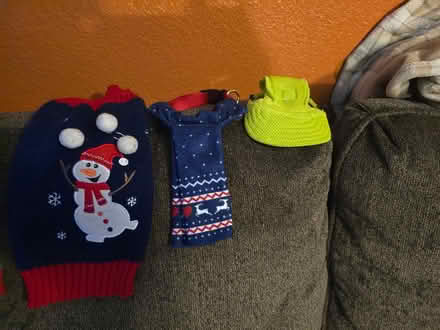 Photo of free Dog sweaters (Humboldt Hill, Eureka) #4