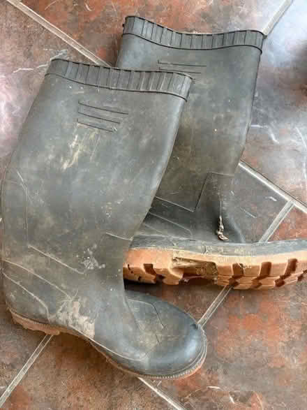 Photo of free Welly boots size 8 (Cam GL11) #1