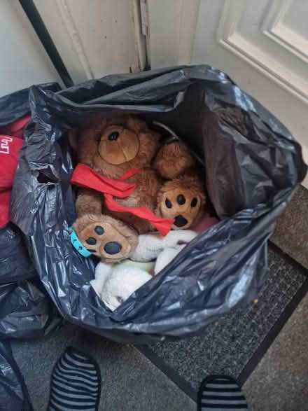 Photo of free Bags of Toys (Broxtowe NG8) #3