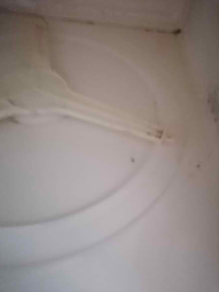 Photo of free Microwave brand Sharp - working (Willesden, NW10) #4