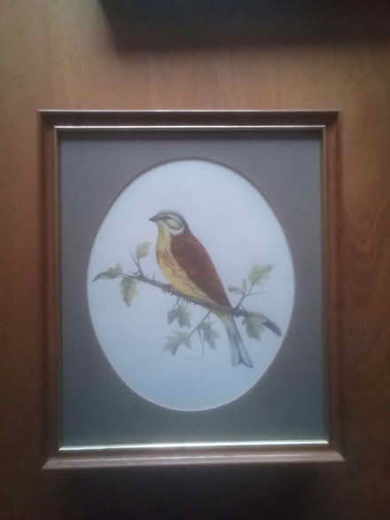 Photo of free Pictures x6 (Currie EH14) #3