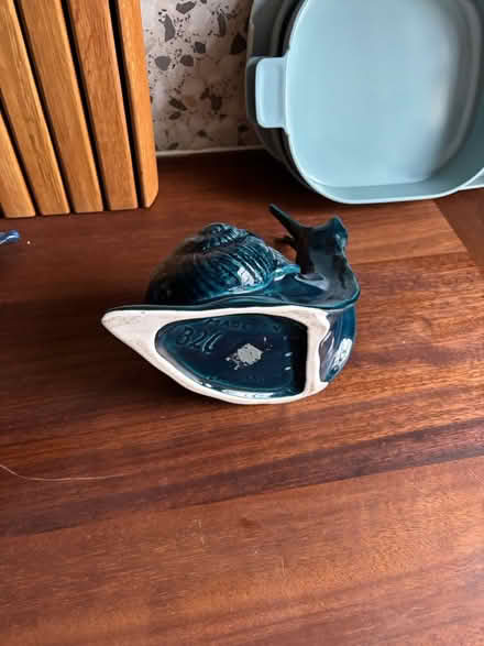 Photo of free Snail planter (SE17) #2