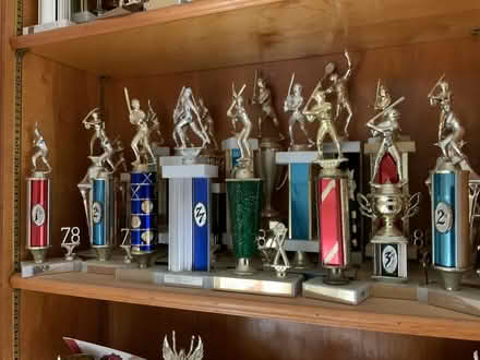 Photo of free trophies (Fondren x W.Bellfort in SW Hou) #2