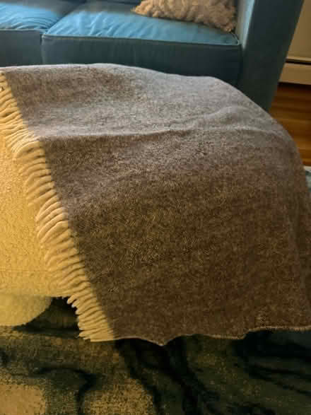 Photo of free Alpaca blanket (Reading ma) #1