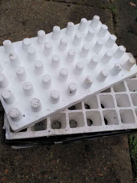 Photo of free Self watering tray (Earlham NR4) #1