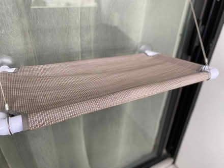 Photo of free Cat hammock (Landmark) #2