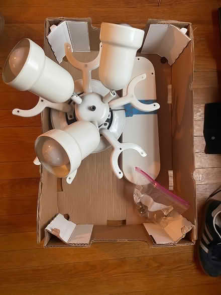 Photo of free Ceiling Fan with Lights (Mt Vernon, NY) #1