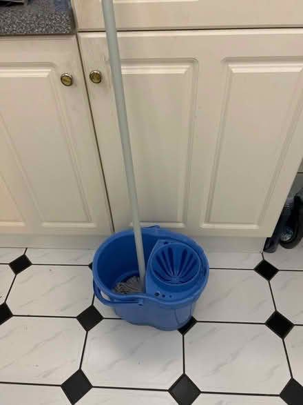 Photo of free Moo & Bucket (Pendine Close WA5) #2