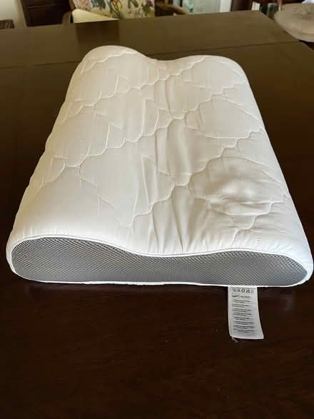 Photo of free Contour pillow (Nr Bridport) #1
