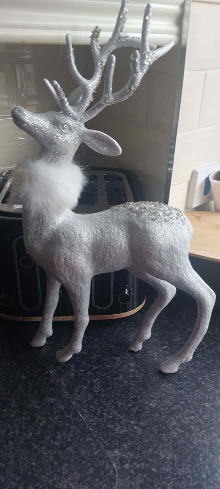 Photo of free Christmas reindeer (BT15) #1