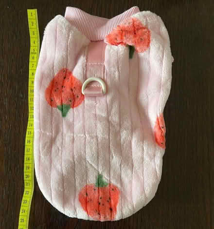 Photo of free Warm coat for very small dog (Old Malden KT4) #2