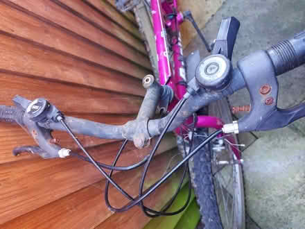 Photo of free Girl's bike (Hereford, Belmont) #3