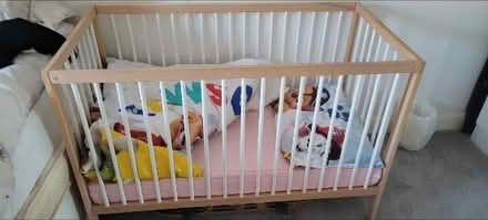 Photo of free Cot and mattress (WS14) #1