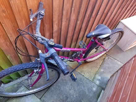 Photo of free Girl's bike (Hereford, Belmont) #2