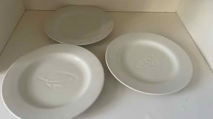 Photo of free White plates (Bowie Highbridge) #1