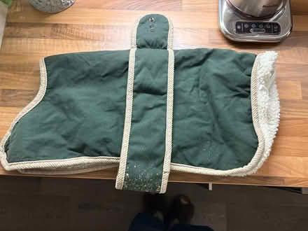 Photo of free Dog coats (Bishops Tachbrook CV33) #1