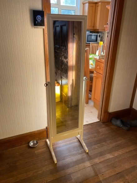 Photo of free Free standing mirror (Hayes BR2) #1