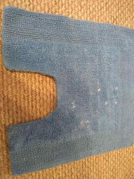 Photo of free Blue Toilet Pedestal Rug (Norwich (5 miles)) #4