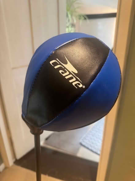 Photo of free Kids punching bag on stand (LU72) #2