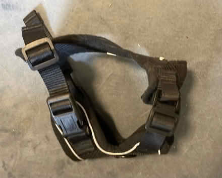 Photo of free padded pet harness (Fremont-Sundale/28 Palms) #1