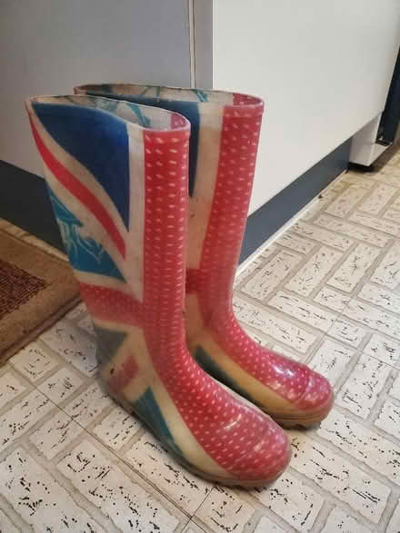 Photo of free Size 4 wellies (Kendal LA9) #1