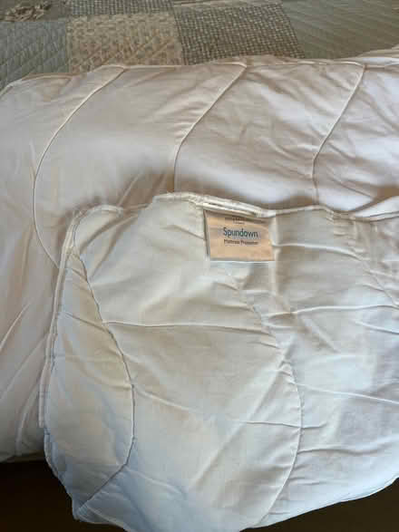 Photo of free Superking mattress protector (Nr Bridport) #2
