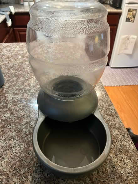 Photo of free Pet water bowl (Mosswood) #1
