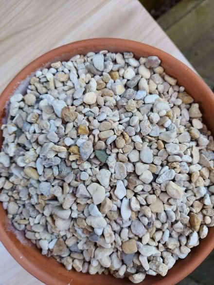 Photo of free Small stones. Pot not included (Hereford, Belmont) #1