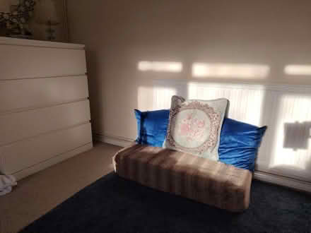 Photo of free Floor sitting (SE19) #1