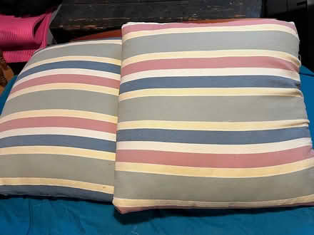 Photo of free 2- 24”x24” pillows (Downers Grove) #1