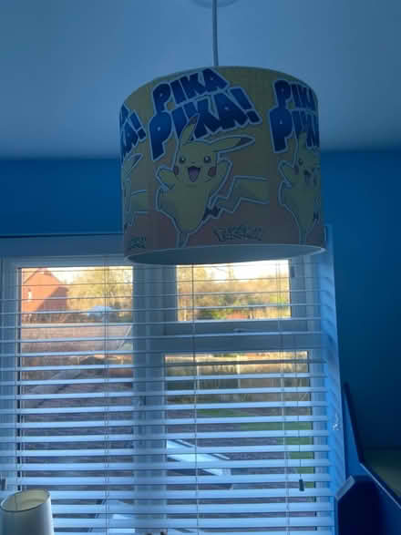 Photo of free Pokémon lamp shade (Leicester LE8) #1