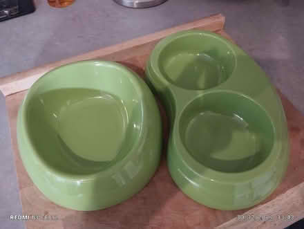 Photo of free Green cat/small dog bowls (Manor Park S2) #1