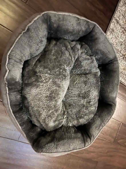 Photo of free Cat bed (Park view\Petworth) #1