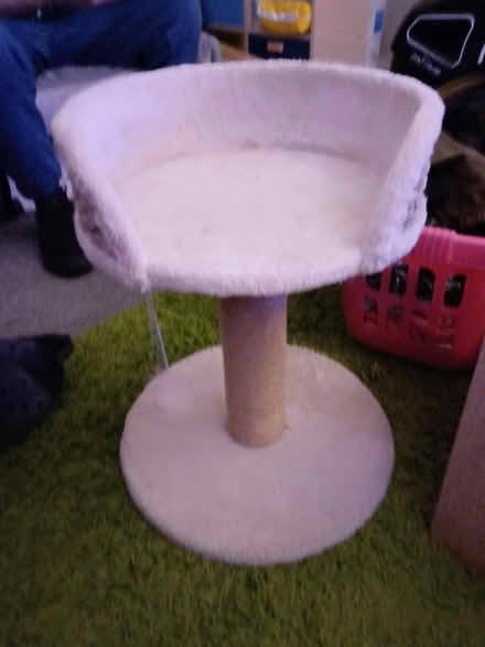 Photo of free Cat scratcher with cat nest (AL1) #1