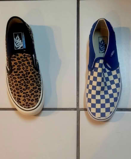 Photo of free Van Shoes New (9303 Pinewood Dr. Dallas) #1