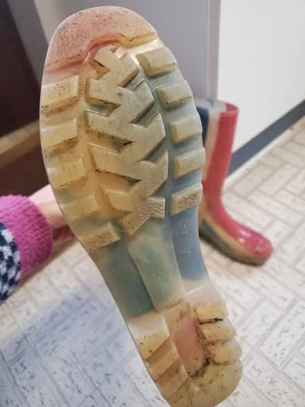 Photo of free Size 4 wellies (Kendal LA9) #2