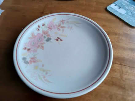 Photo of Boots hedge rose plates (Dunblane FK15) #1
